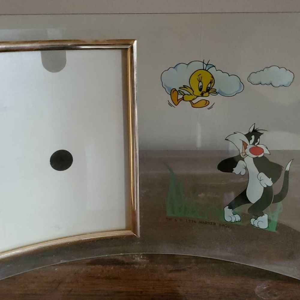 Looney Tunes Picture Frame